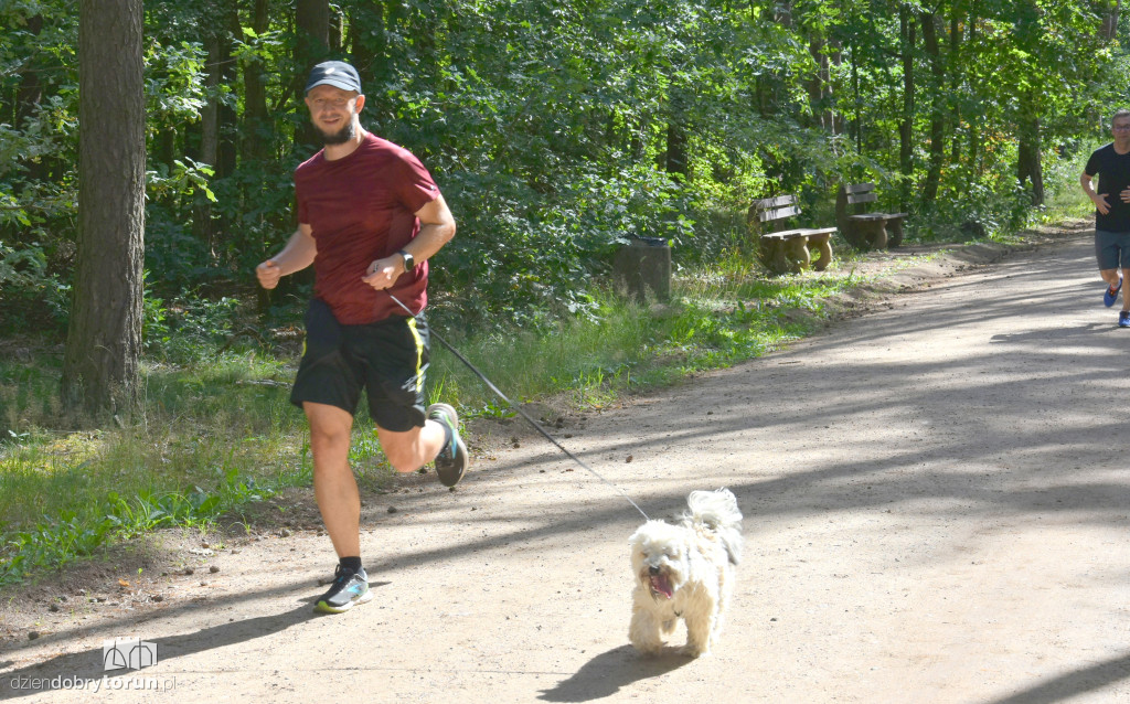 Sobotni parkrun w Toruniu