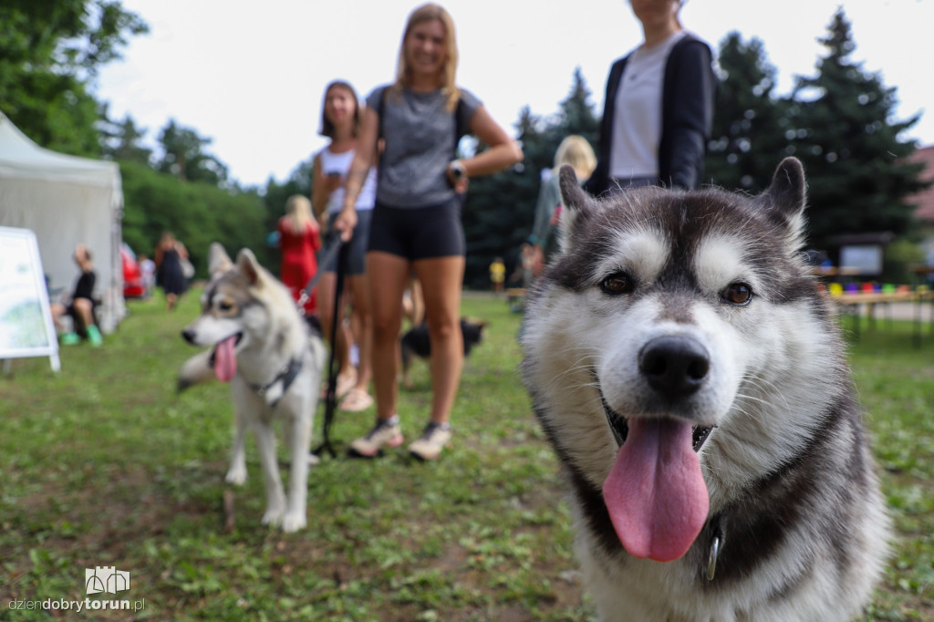 Dog Run Toruń w Szkółce Leśnej Bielawy
