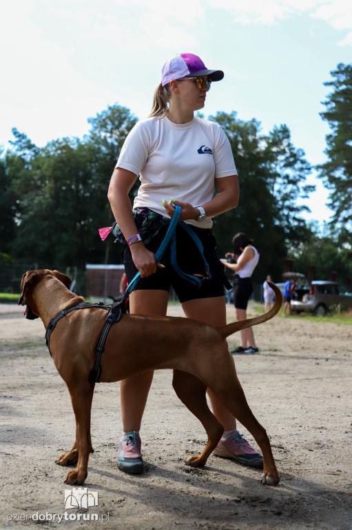 Dog Run Toruń w Szkółce Leśnej Bielawy