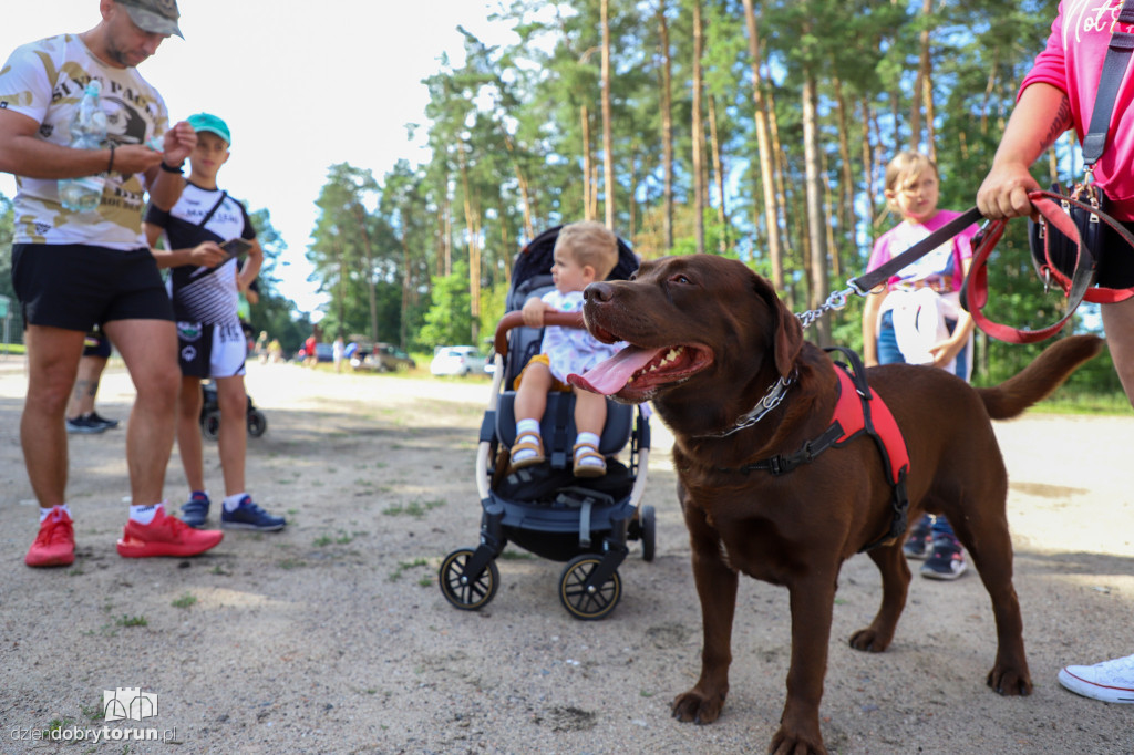 Dog Run Toruń w Szkółce Leśnej Bielawy