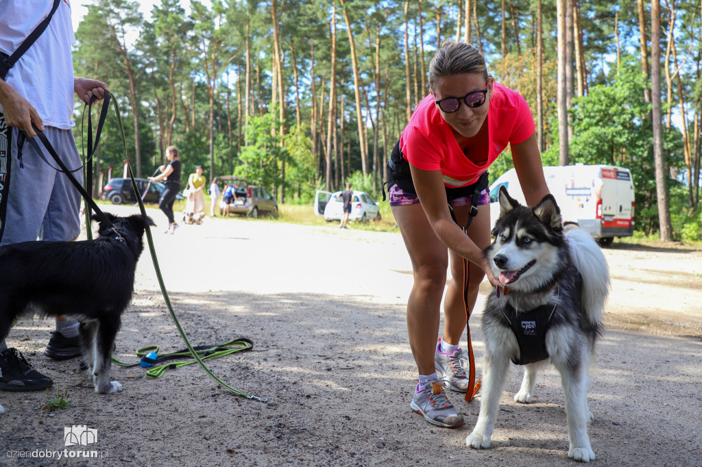 Dog Run Toruń w Szkółce Leśnej Bielawy