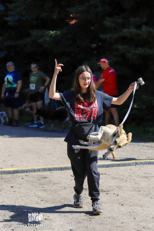 Dog Run Toruń w Szkółce Leśnej Bielawy
