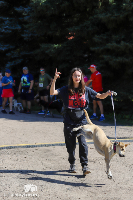 Dog Run Toruń w Szkółce Leśnej Bielawy