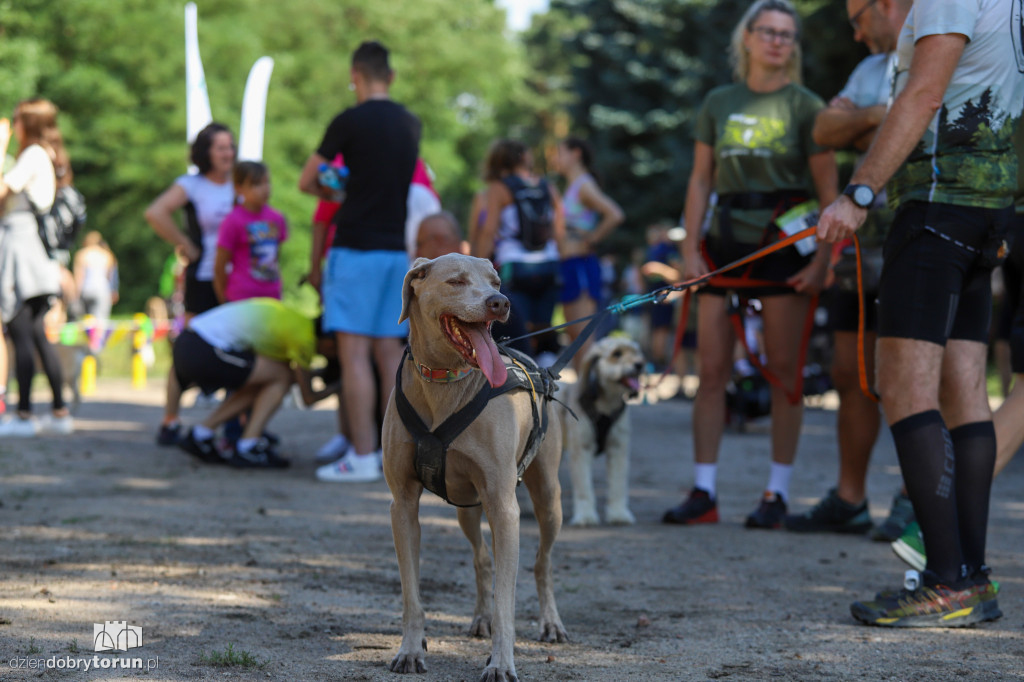 Dog Run Toruń w Szkółce Leśnej Bielawy