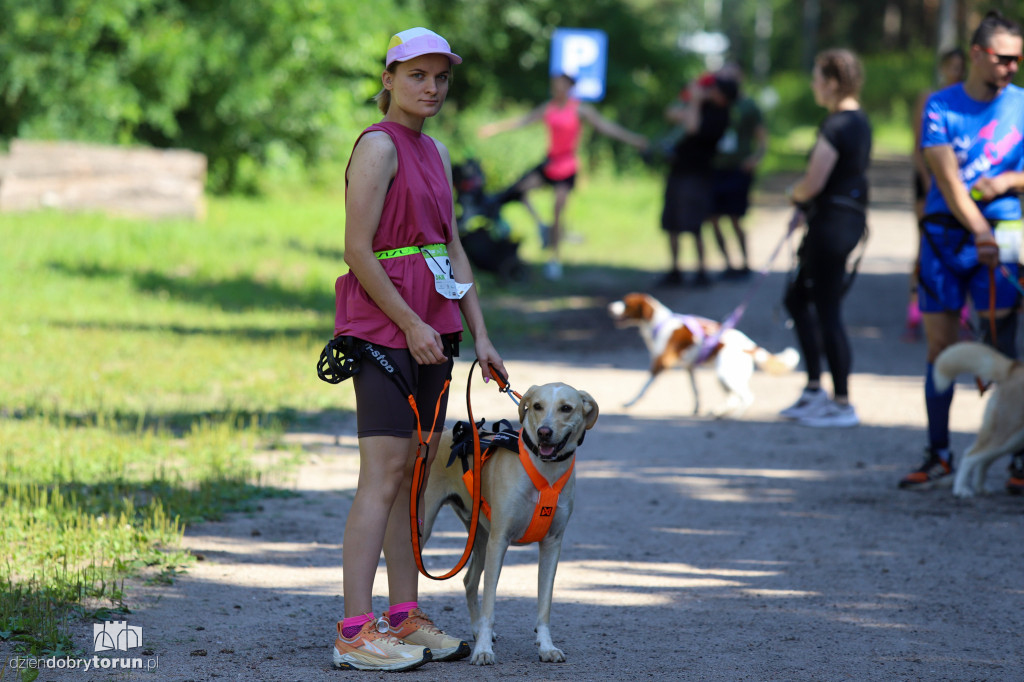 Dog Run Toruń w Szkółce Leśnej Bielawy