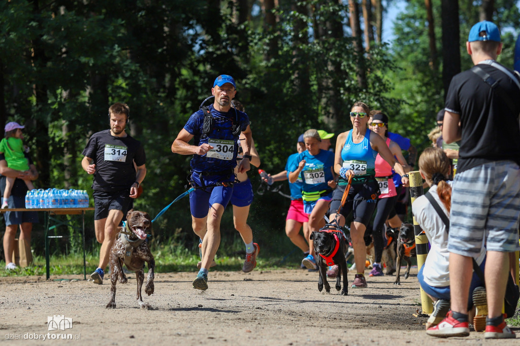 Dog Run Toruń w Szkółce Leśnej Bielawy