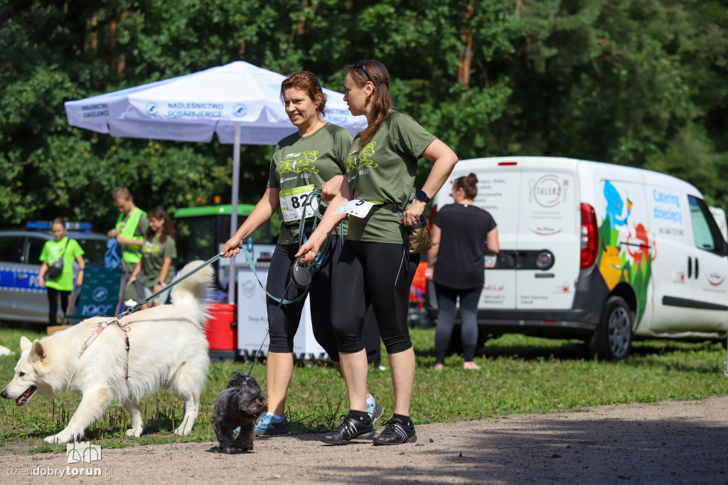 Dog Run Toruń w Szkółce Leśnej Bielawy