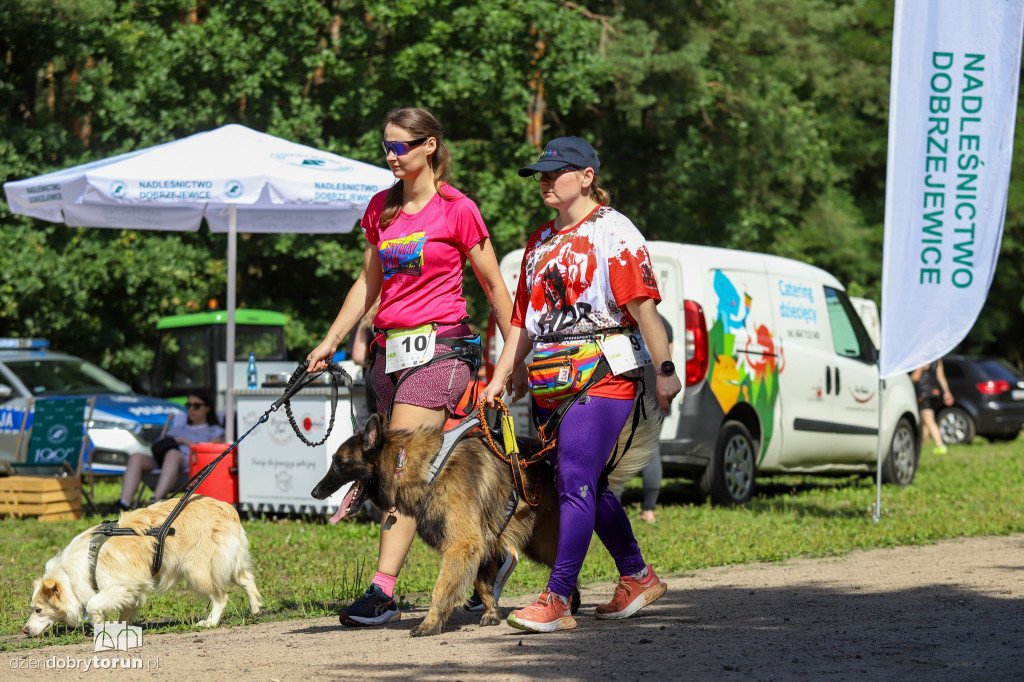 Dog Run Toruń w Szkółce Leśnej Bielawy