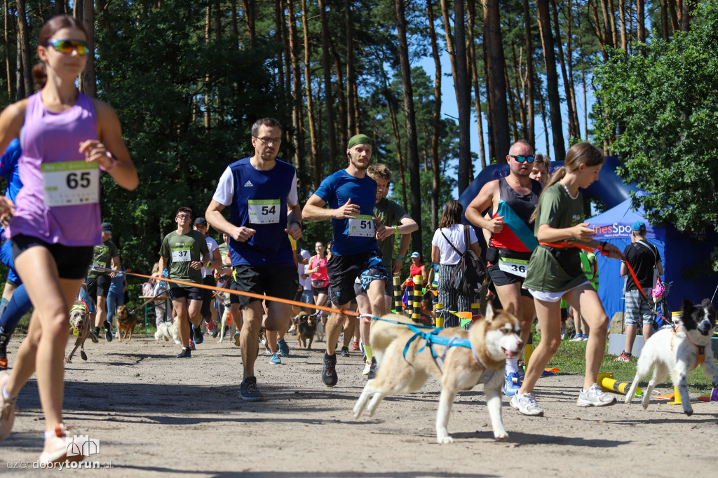 Dog Run Toruń w Szkółce Leśnej Bielawy