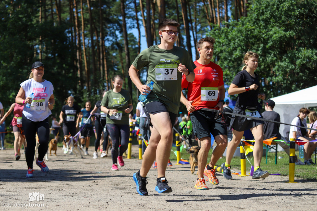 Dog Run Toruń w Szkółce Leśnej Bielawy