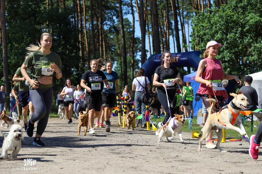 Dog Run Toruń w Szkółce Leśnej Bielawy