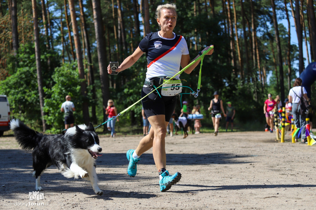 Dog Run Toruń w Szkółce Leśnej Bielawy