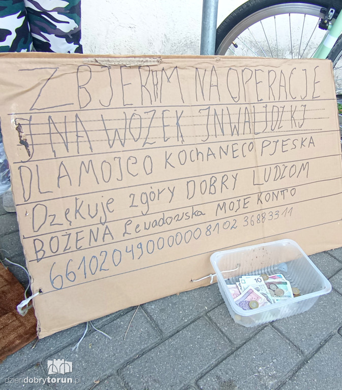 Małżeństwo zbiera pieniądze na leczenie psa