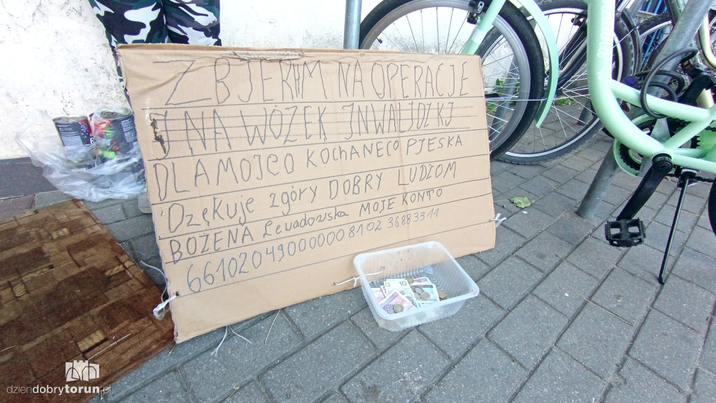Małżeństwo zbiera pieniądze na leczenie psa