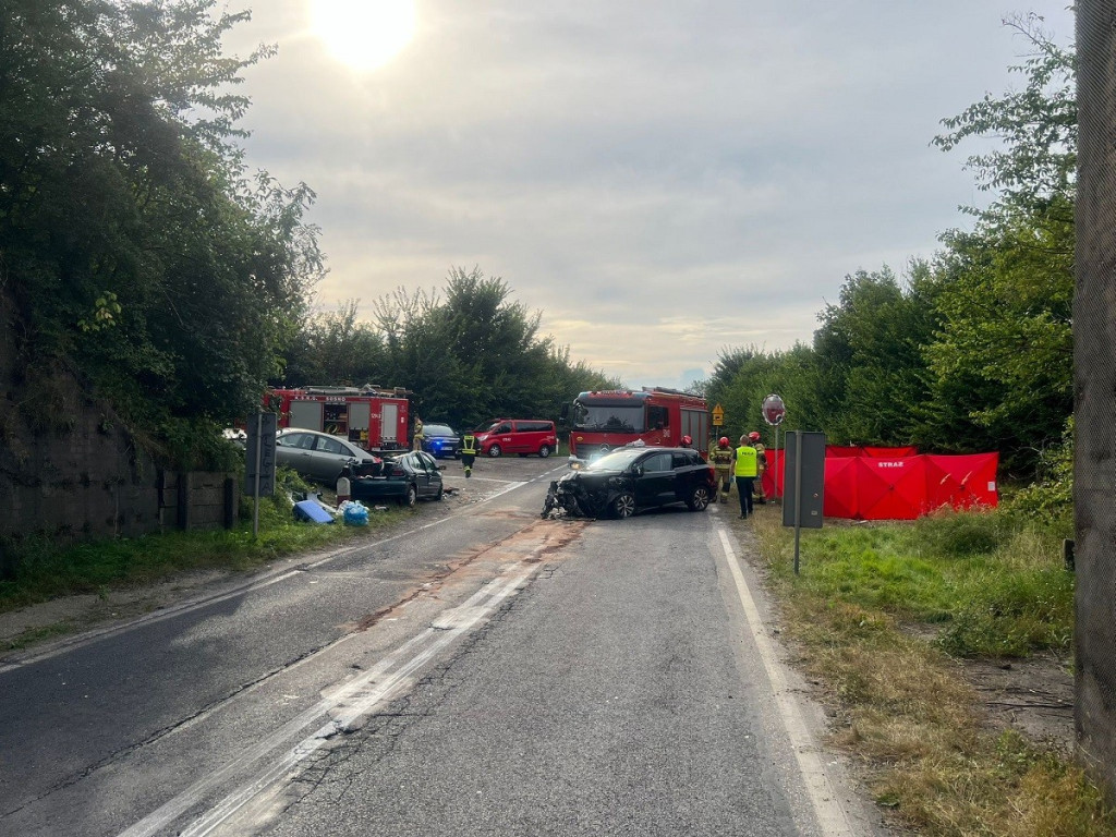 Śmiertelny wypadek na DK25