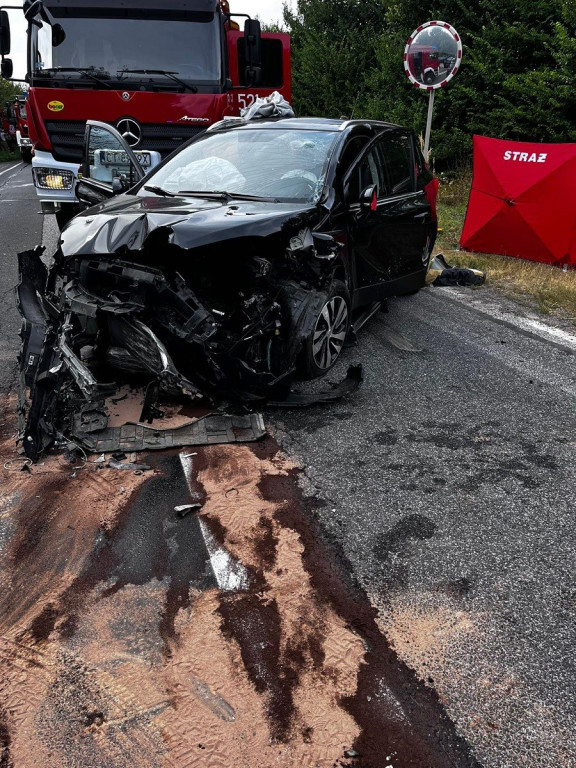 Śmiertelny wypadek na DK25