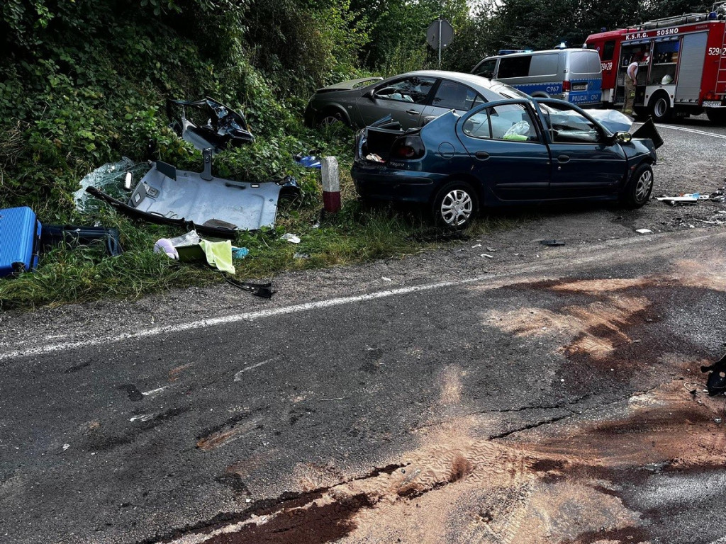 Śmiertelny wypadek na DK25