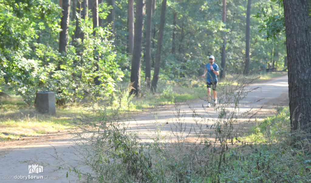 421 Parkrun w Toruniu