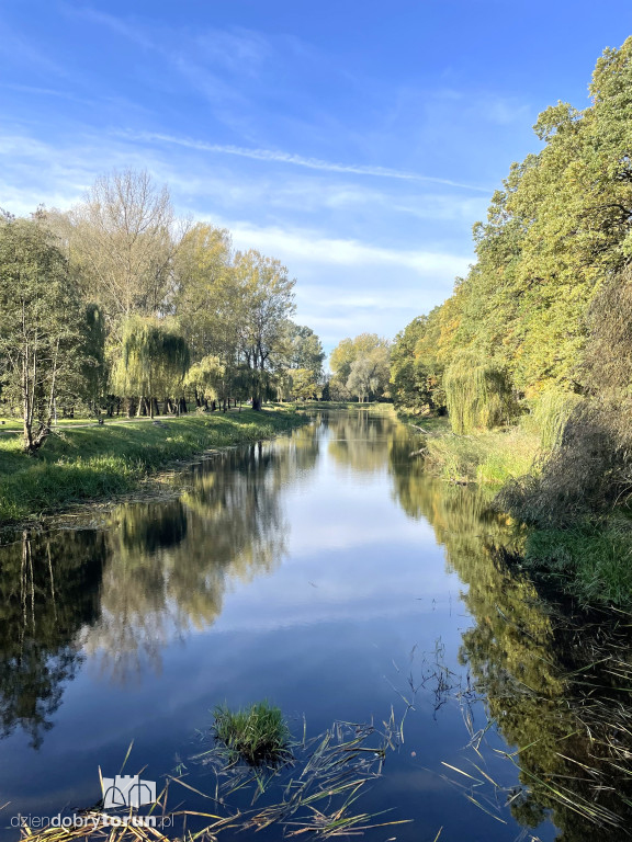 Jesień nad toruńską Martówką