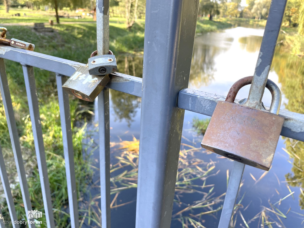 Jesień nad toruńską Martówką