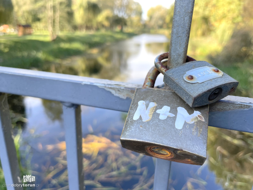 Jesień nad toruńską Martówką