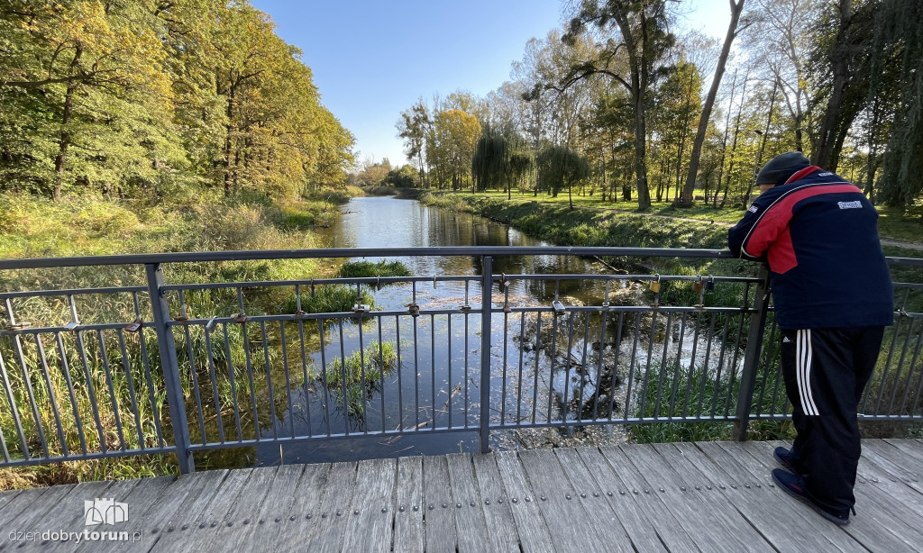 Jesień nad toruńską Martówką