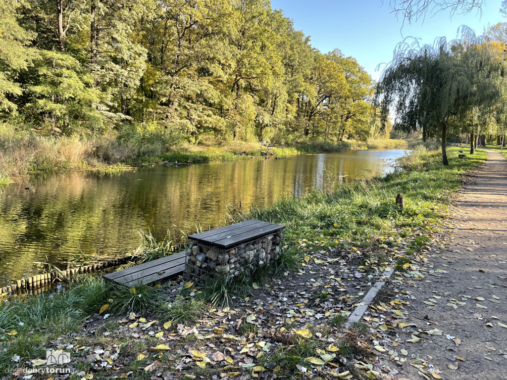 Jesień nad toruńską Martówką