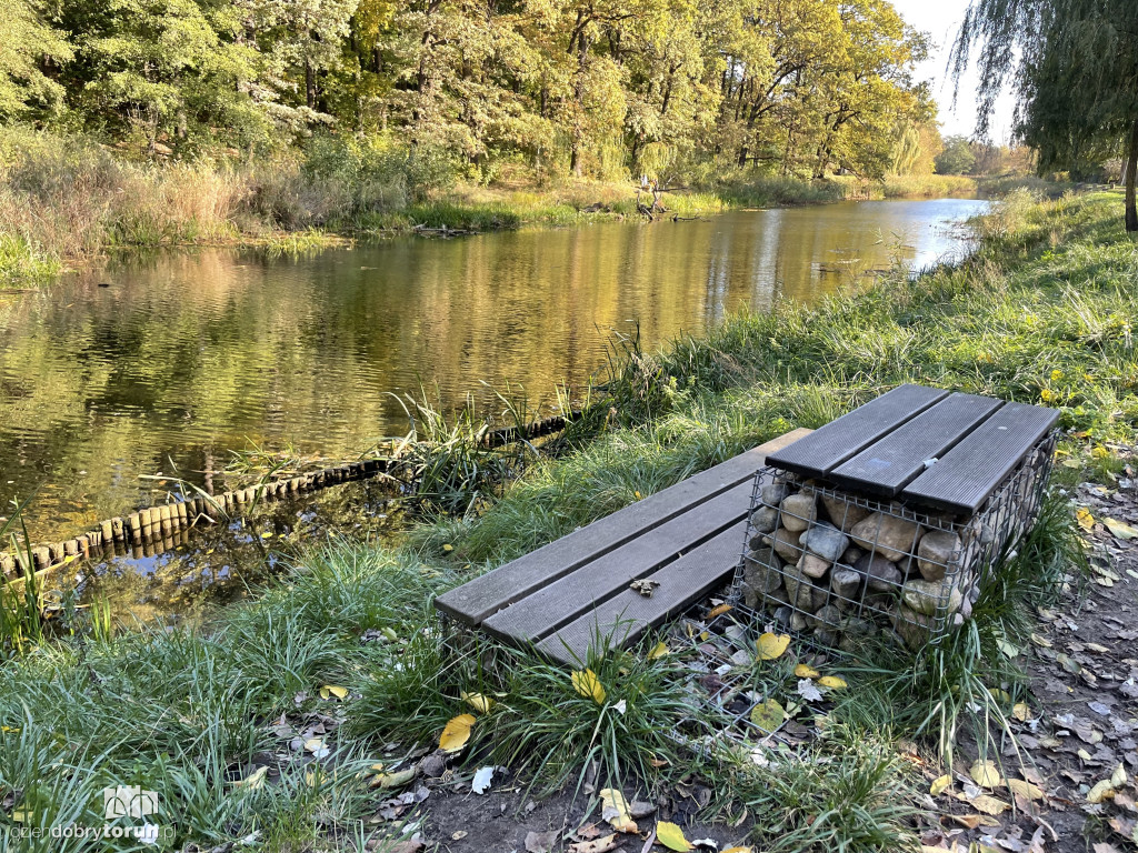 Jesień nad toruńską Martówką