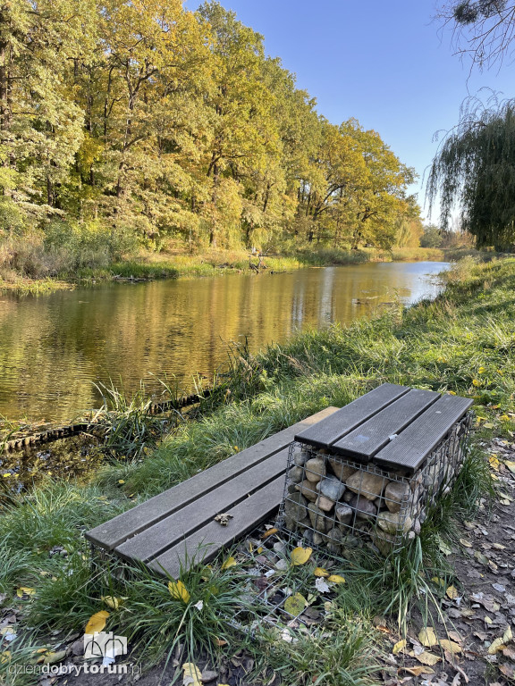 Jesień nad toruńską Martówką