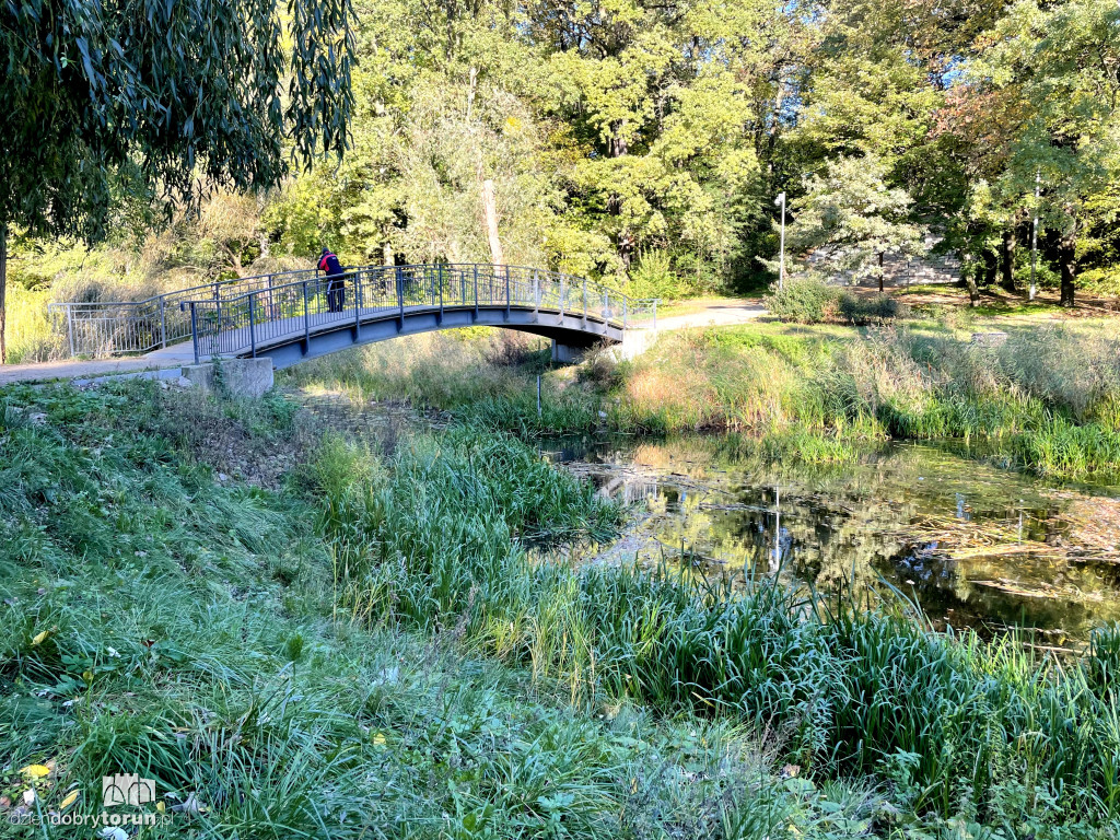 Jesień nad toruńską Martówką