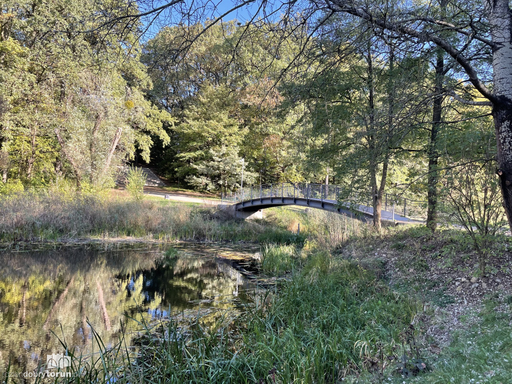 Jesień nad toruńską Martówką