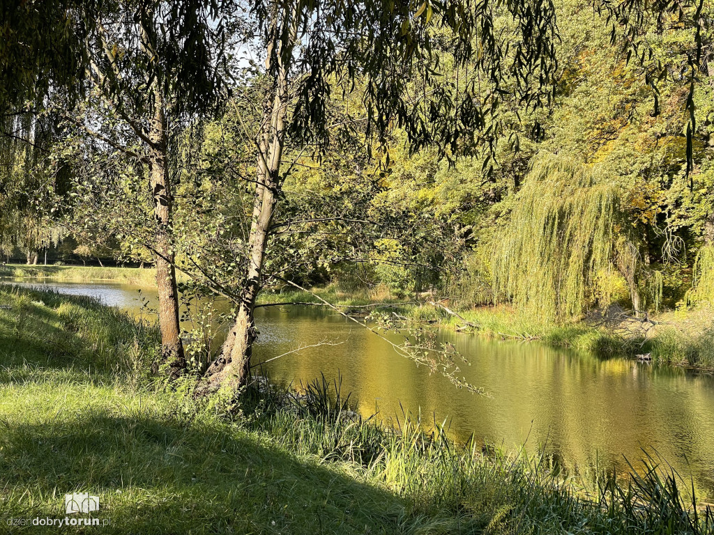 Jesień nad toruńską Martówką