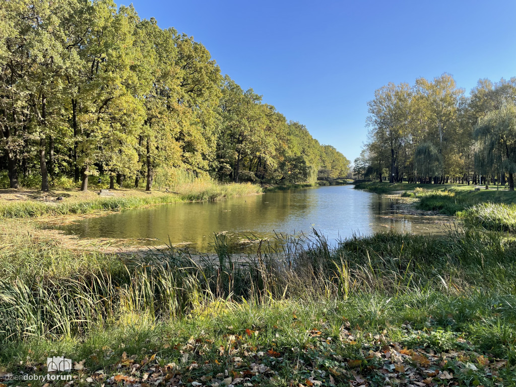 Jesień nad toruńską Martówką