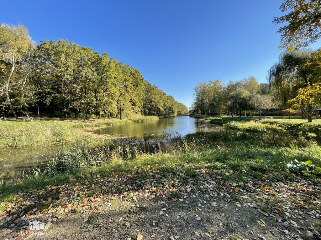 Jesień nad toruńską Martówką