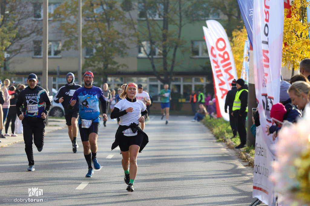 Jesienne Run Toruń