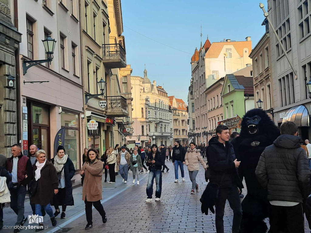 Toruń za pół ceny - tłumy na starówce