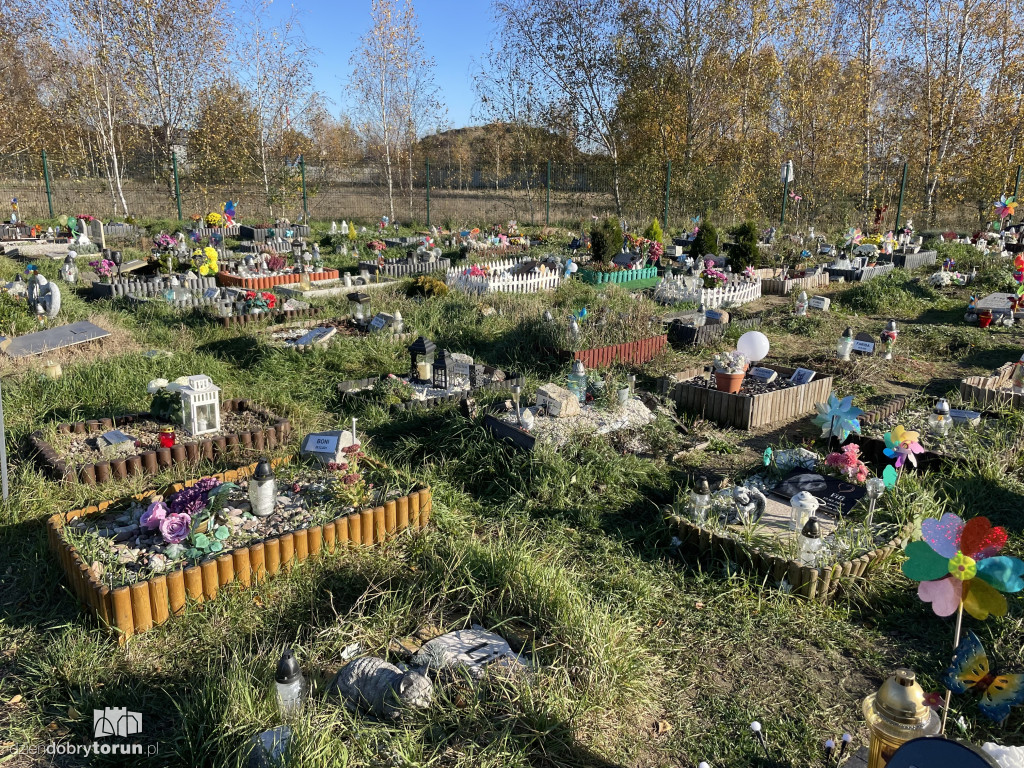 Cmentarz dla zwierząt w Toruniu