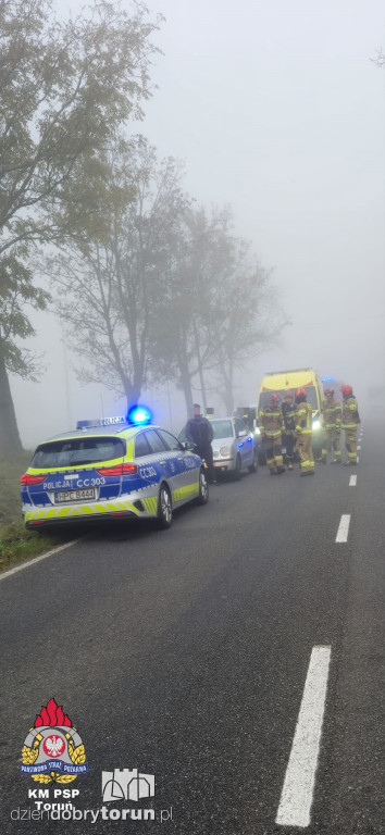 Groźne zdarzenie w gminie Chełmża