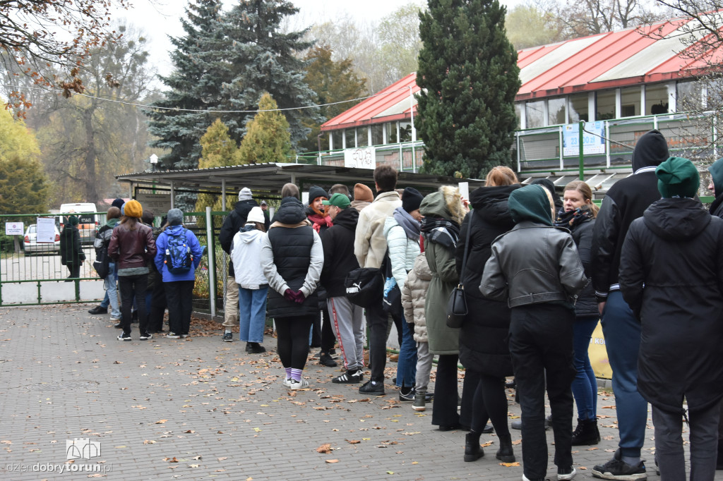 Akcja wyprowadź psa w toruńskim schronisku