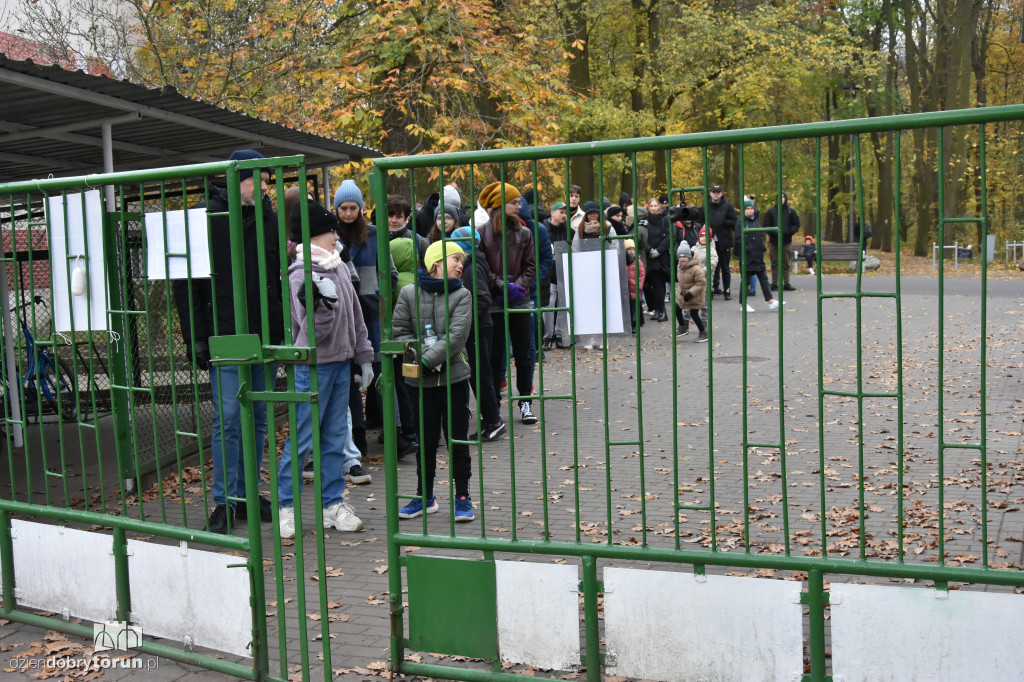 Akcja wyprowadź psa w toruńskim schronisku