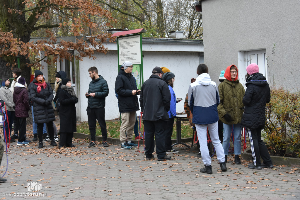 Akcja wyprowadź psa w toruńskim schronisku