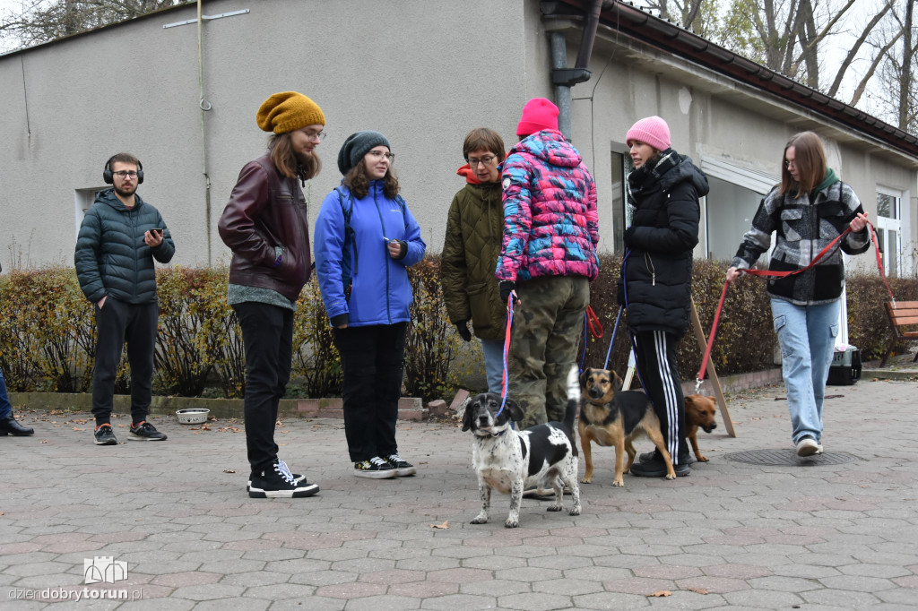 Akcja wyprowadź psa w toruńskim schronisku