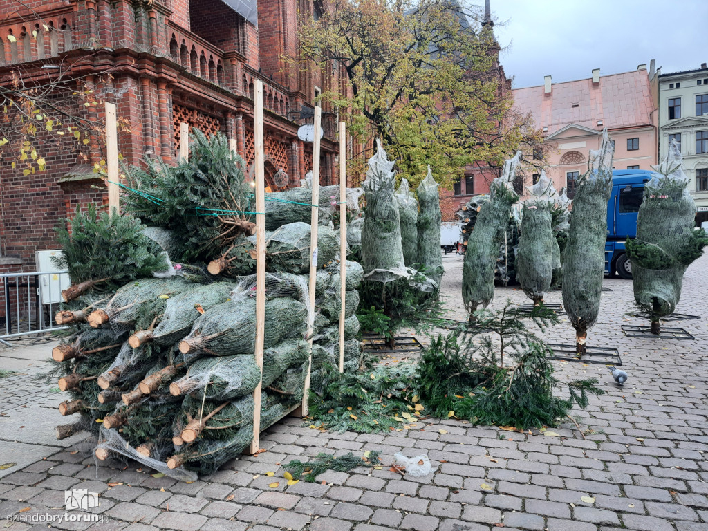 Świąteczny jarmark powraca do Torunia