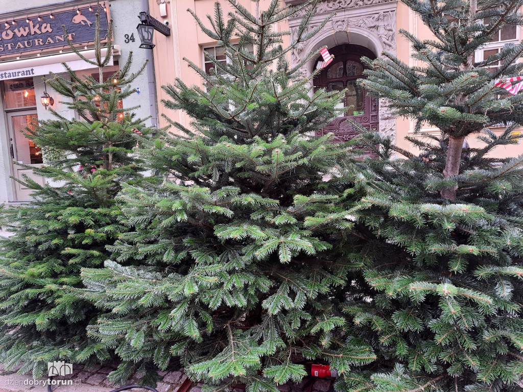 Świąteczny jarmark powraca do Torunia