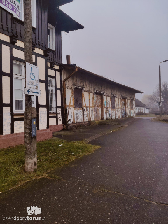 W Ciechocinku wycięto ogromny dąb