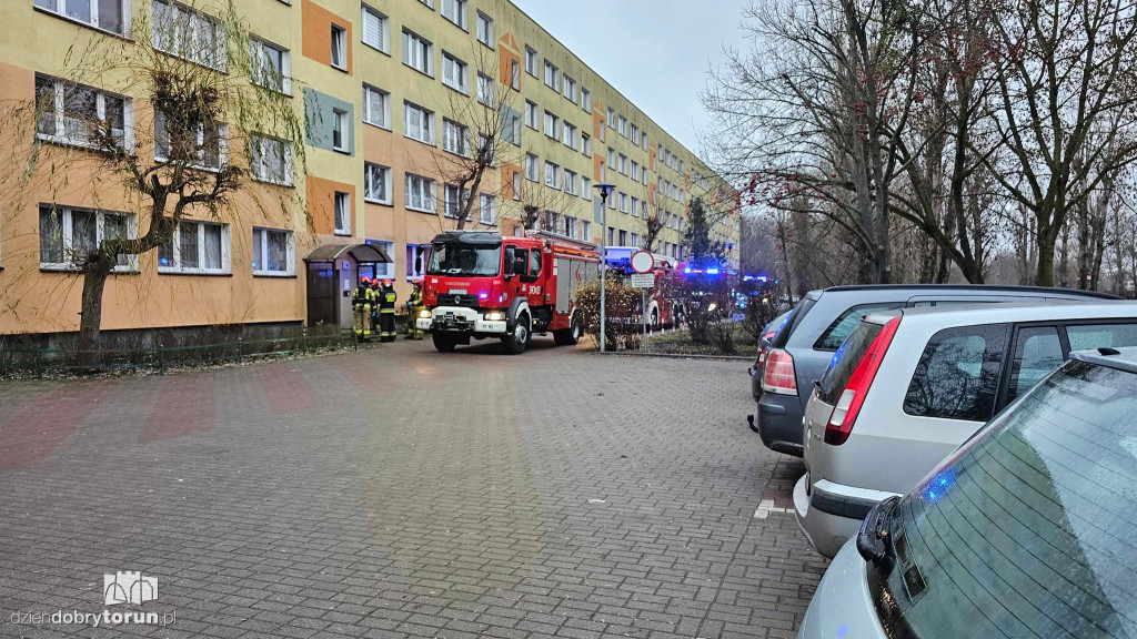 Akcja służb w bloku przy Rydygiera