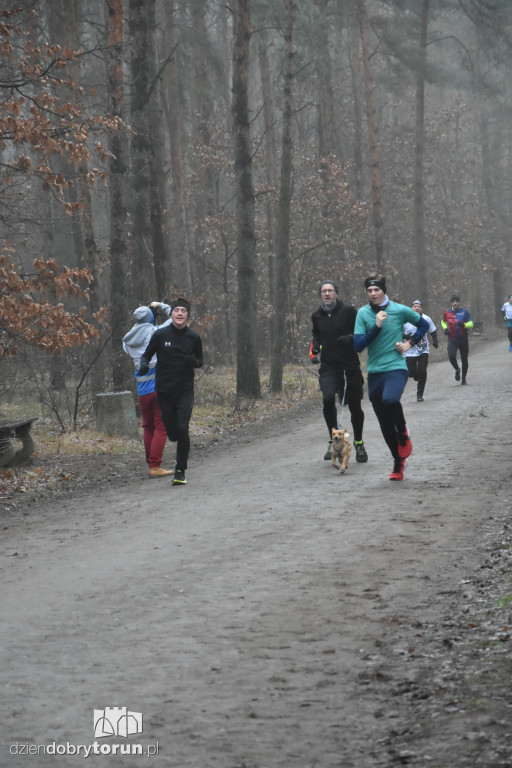 Parkrun #436 - ostatni w tym roku