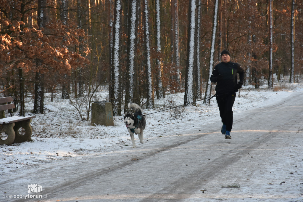 Zimowy parkrun