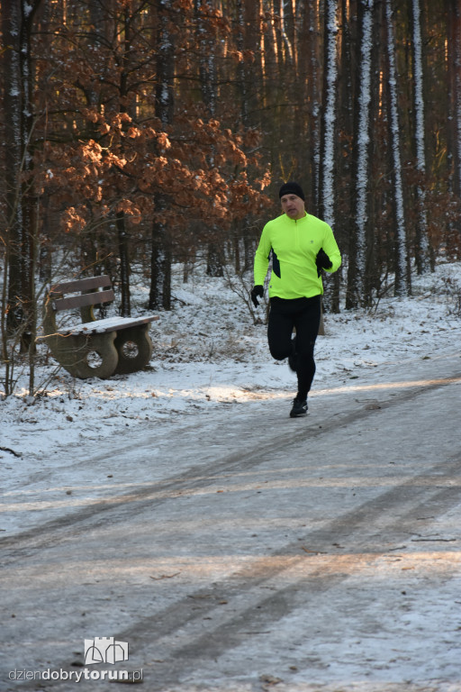 Zimowy parkrun