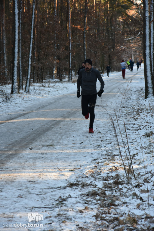 Zimowy parkrun